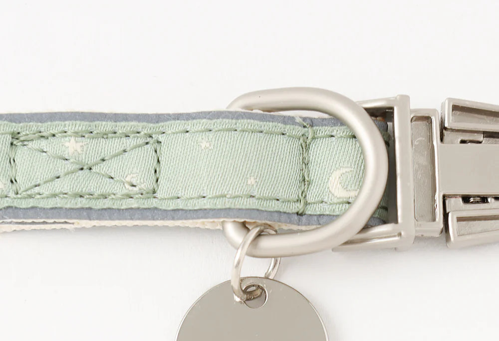 Dog collar with a engraved metal tag on a white background