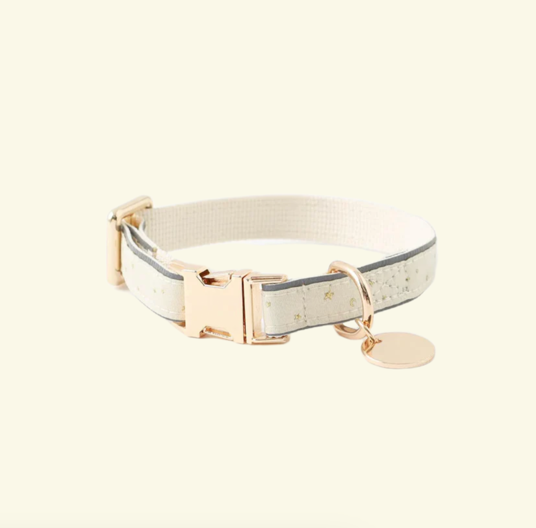 Dog collar with gold buckle and tag on a white background