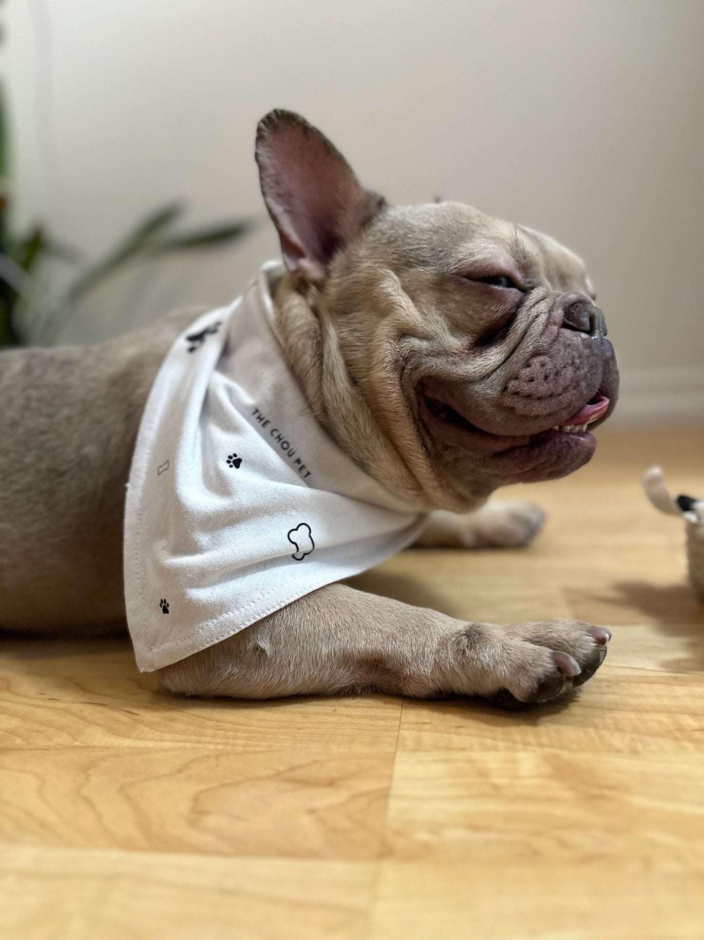 Cotton Bandana - White