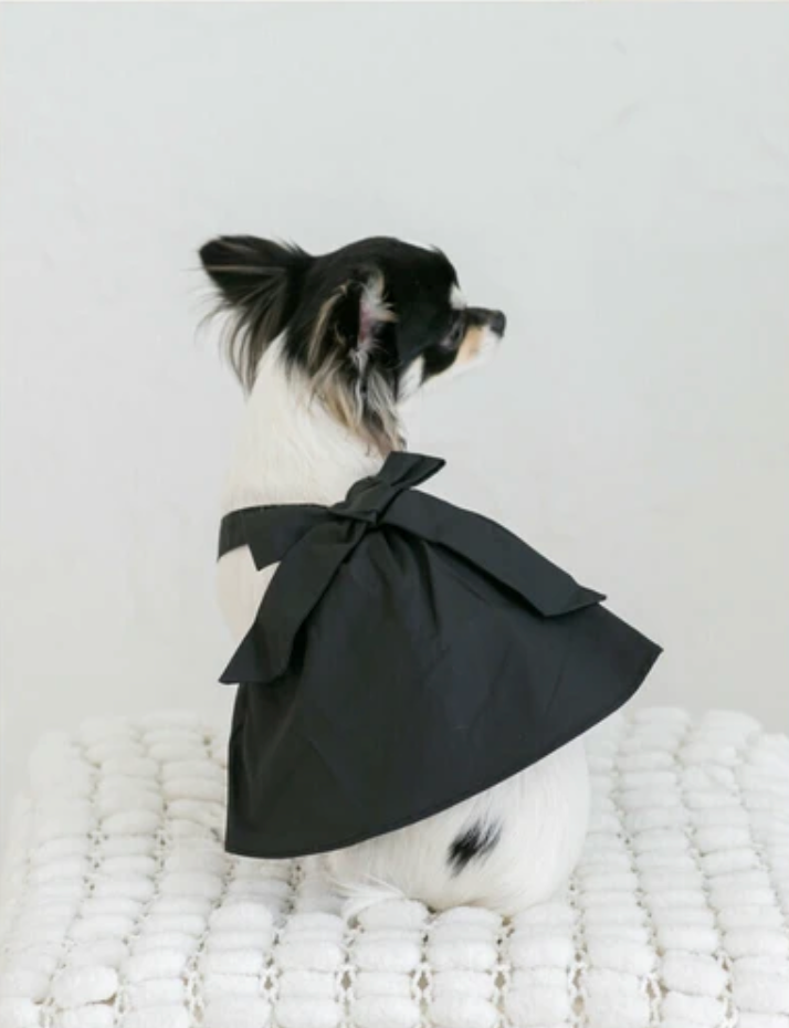 Pet Cotton Bow Dress