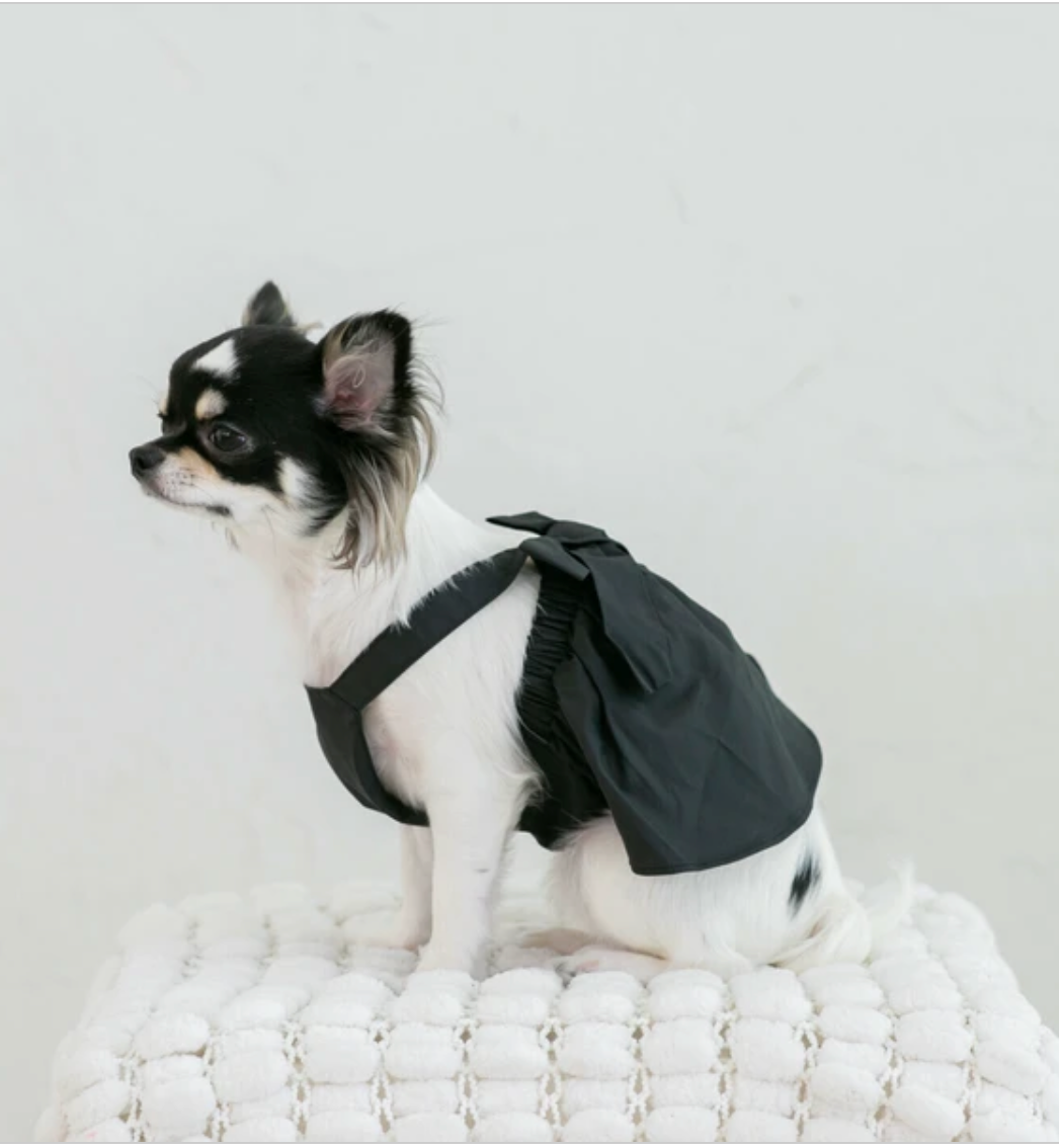 Pet Cotton Bow Dress