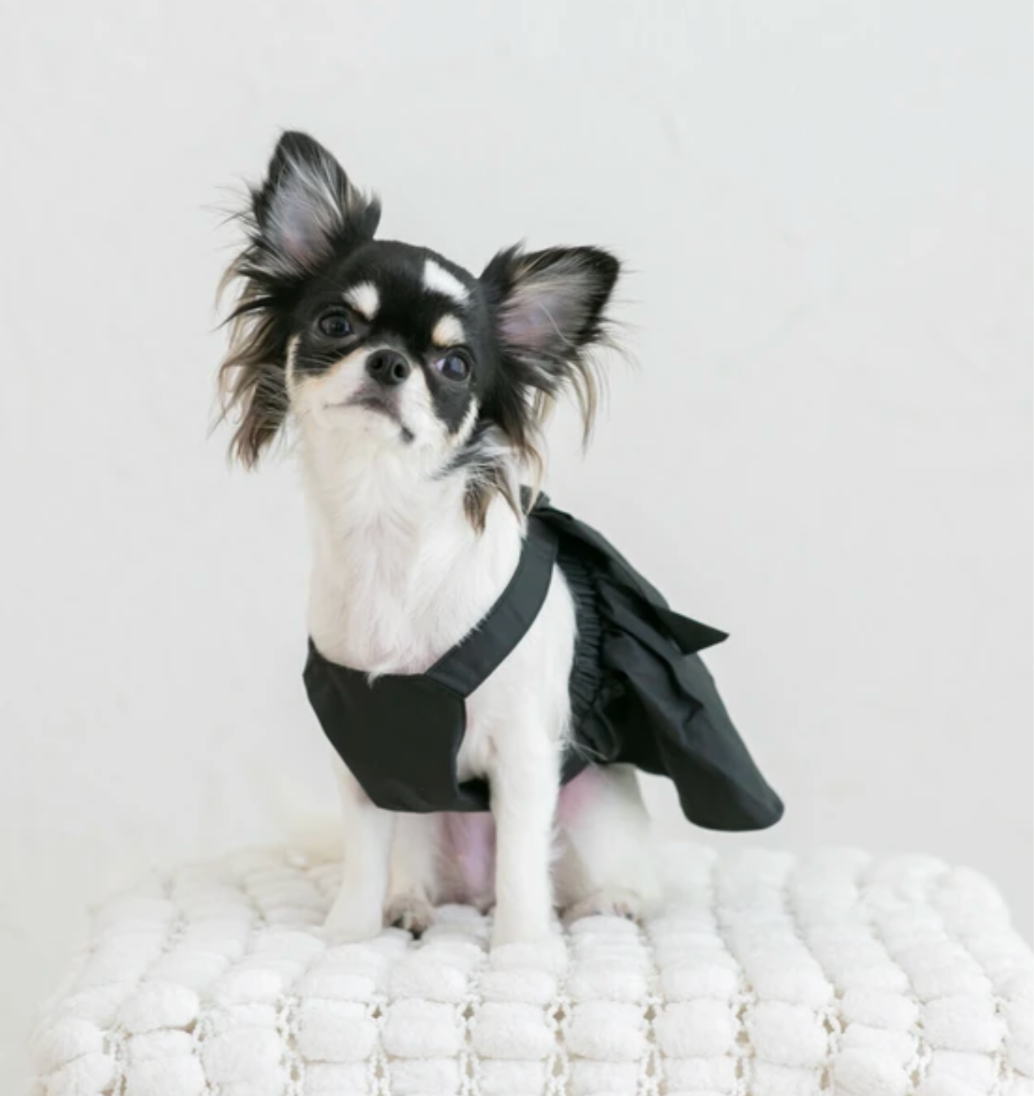 Pet Cotton Bow Dress