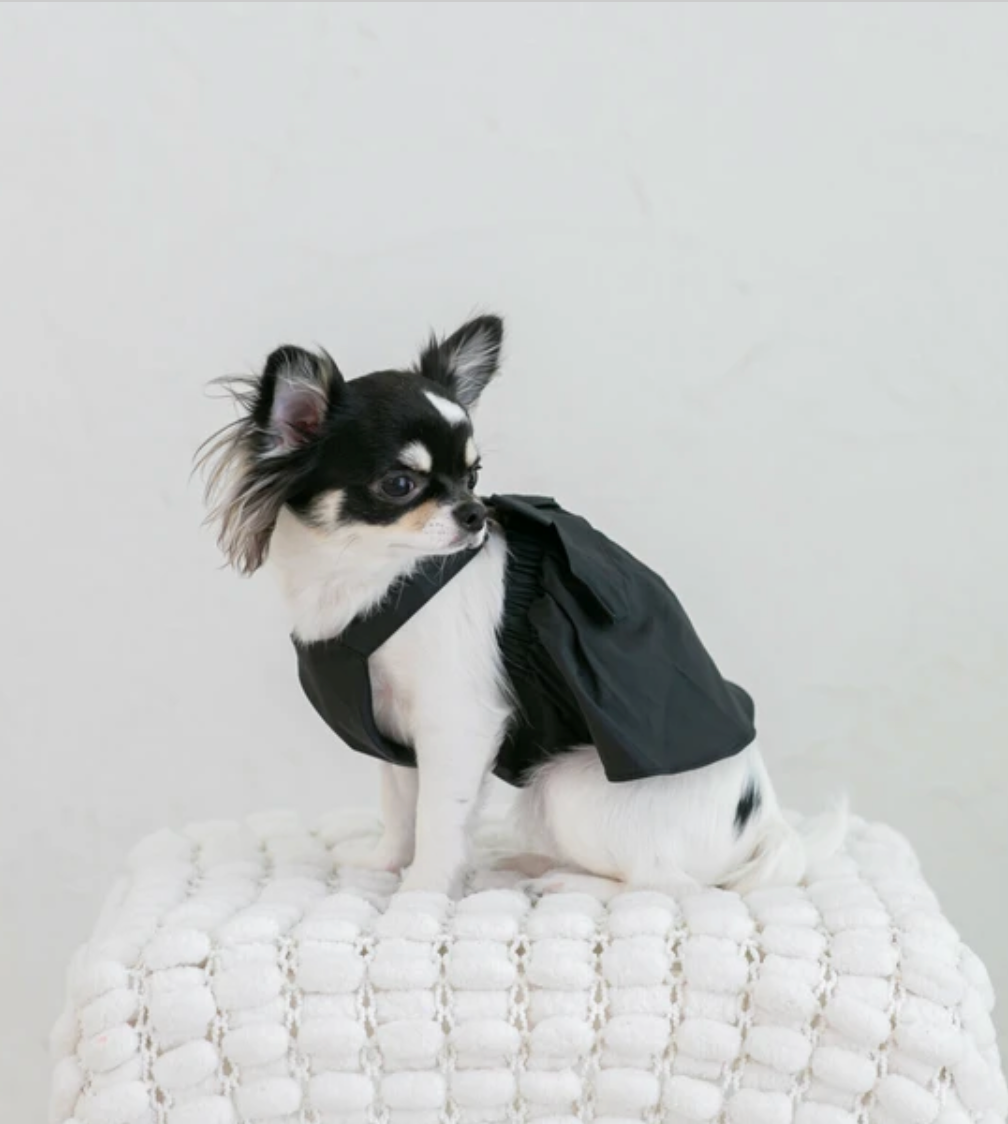Pet Cotton Bow Dress