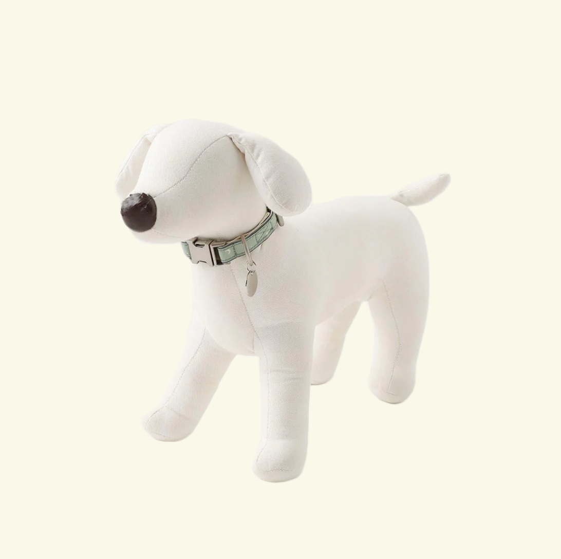 Reflective Collar + engraved Pet Name (Green)