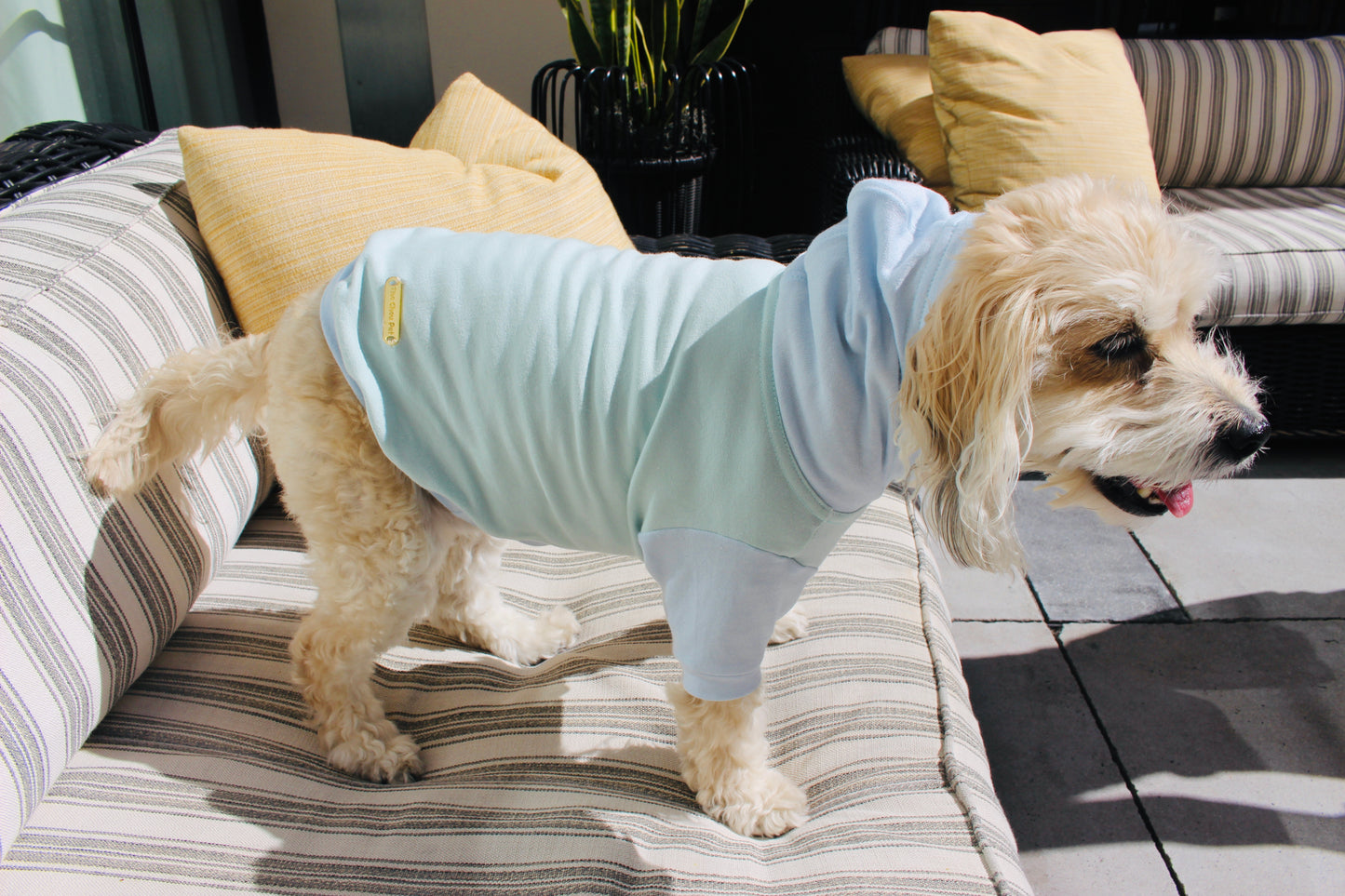 Two-Tone Pastel Pet Hoodie
