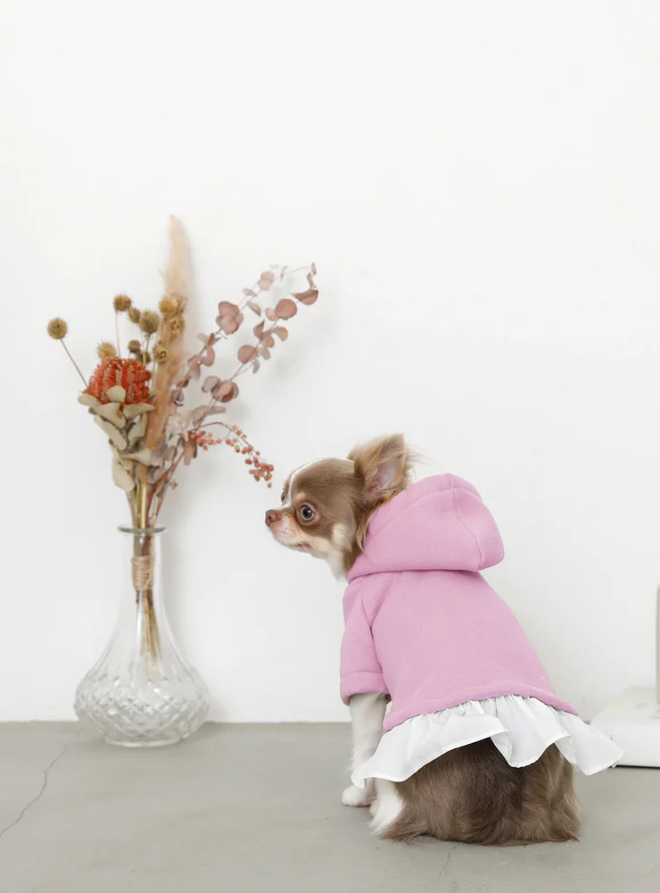 Pet Hoodie with cotton ruffle