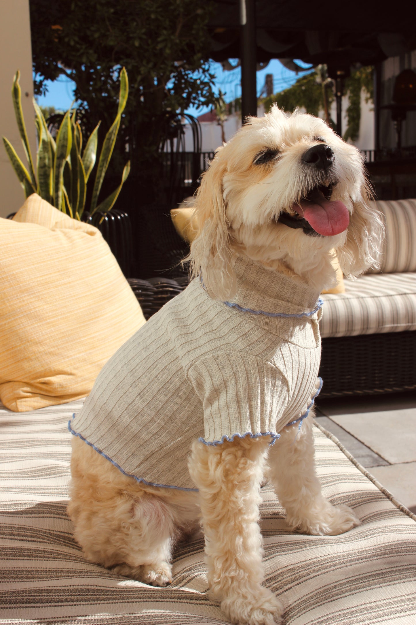 Ribbed Pet Sweater - Gray with Blue Ruffles