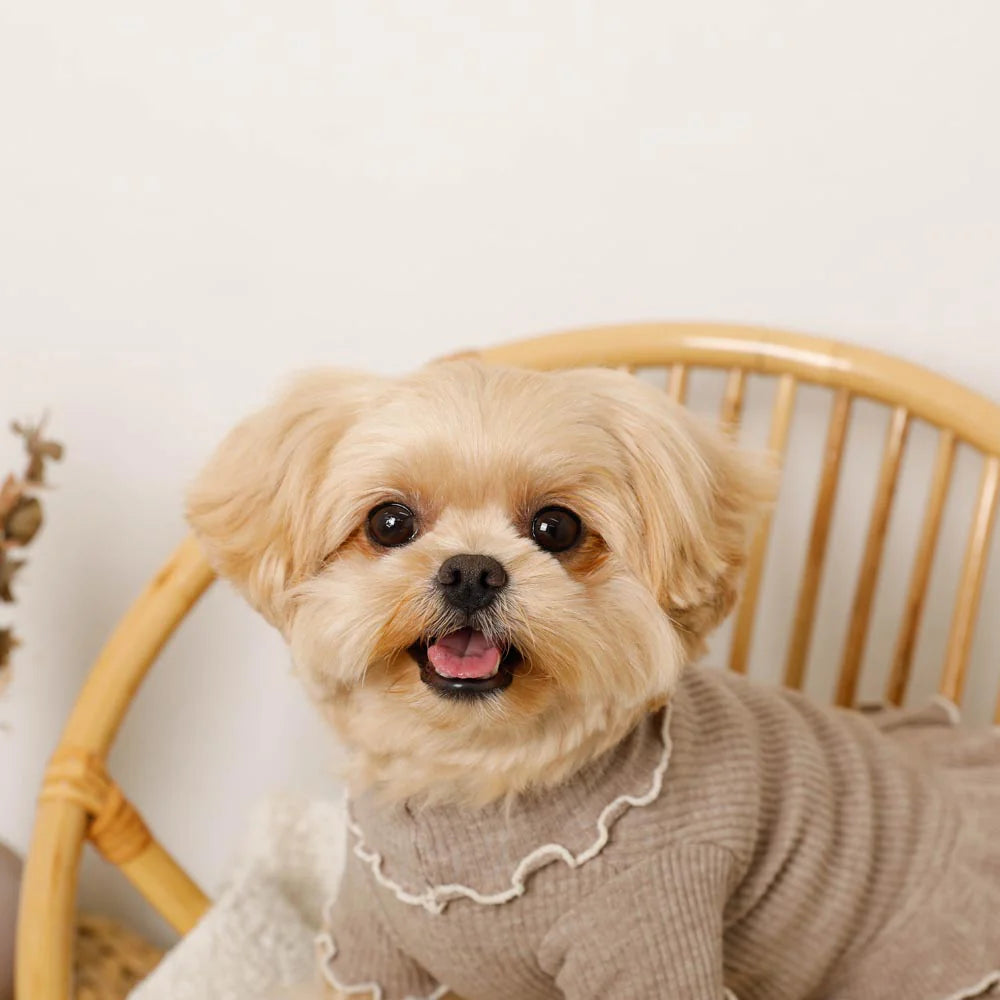 Ruffle Pet Dress - Brown