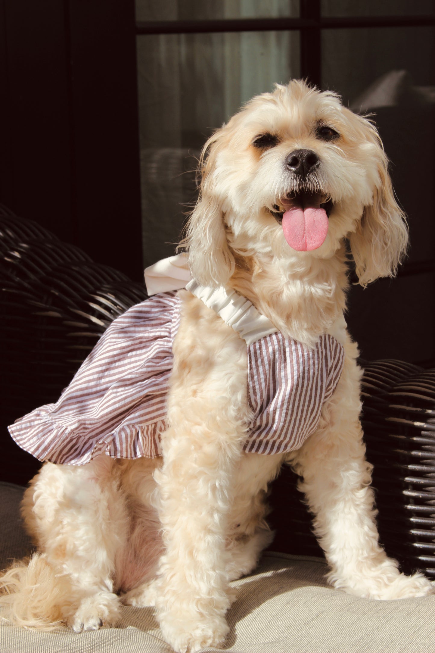 Cotton Striped Pet Dress With Bow - Brown