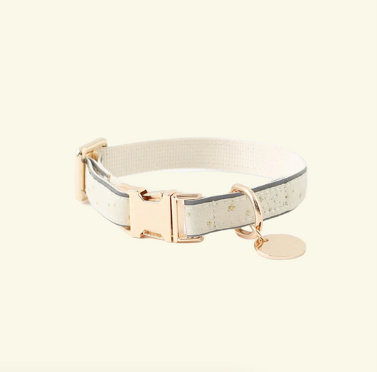 Dog collar with gold buckle and tag on a white background