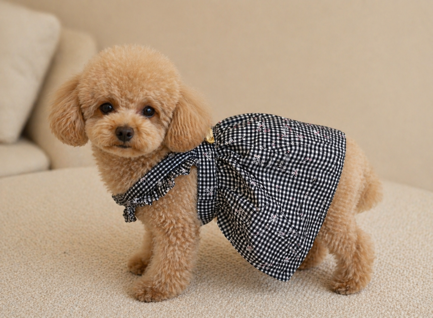 Floral Dog Dress