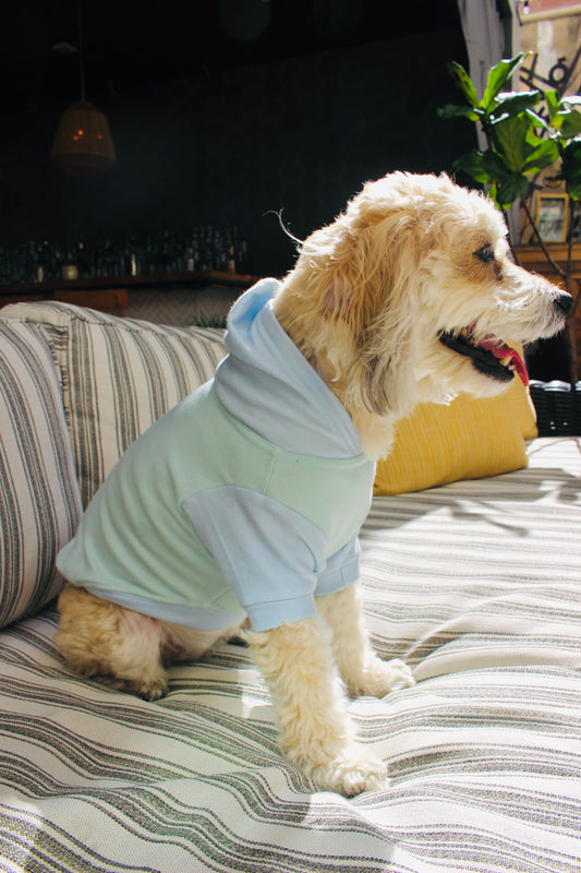Two-Tone Pastel Pet Hoodie