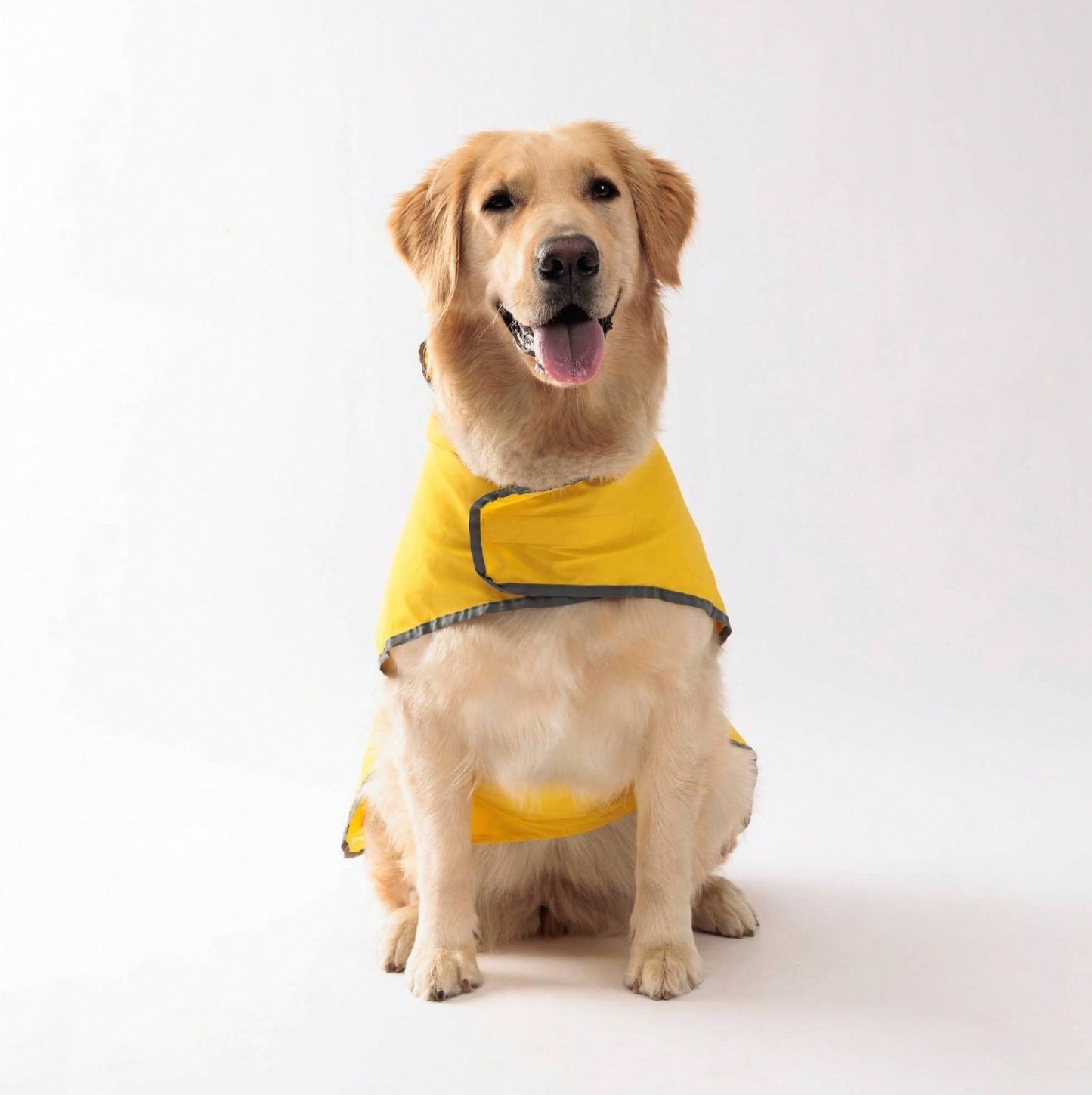 Hooded  Reversible Pet Raincoat
