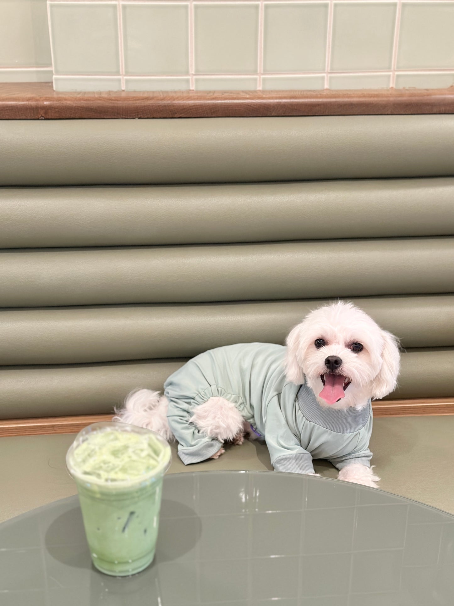 Pet Onesie - Sage Puff