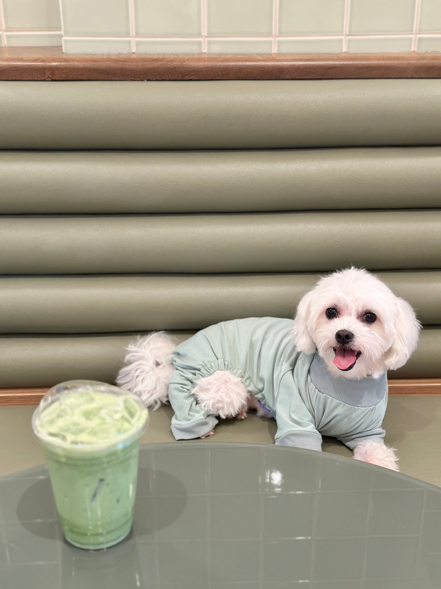 Pet Onesie - Sage Puff