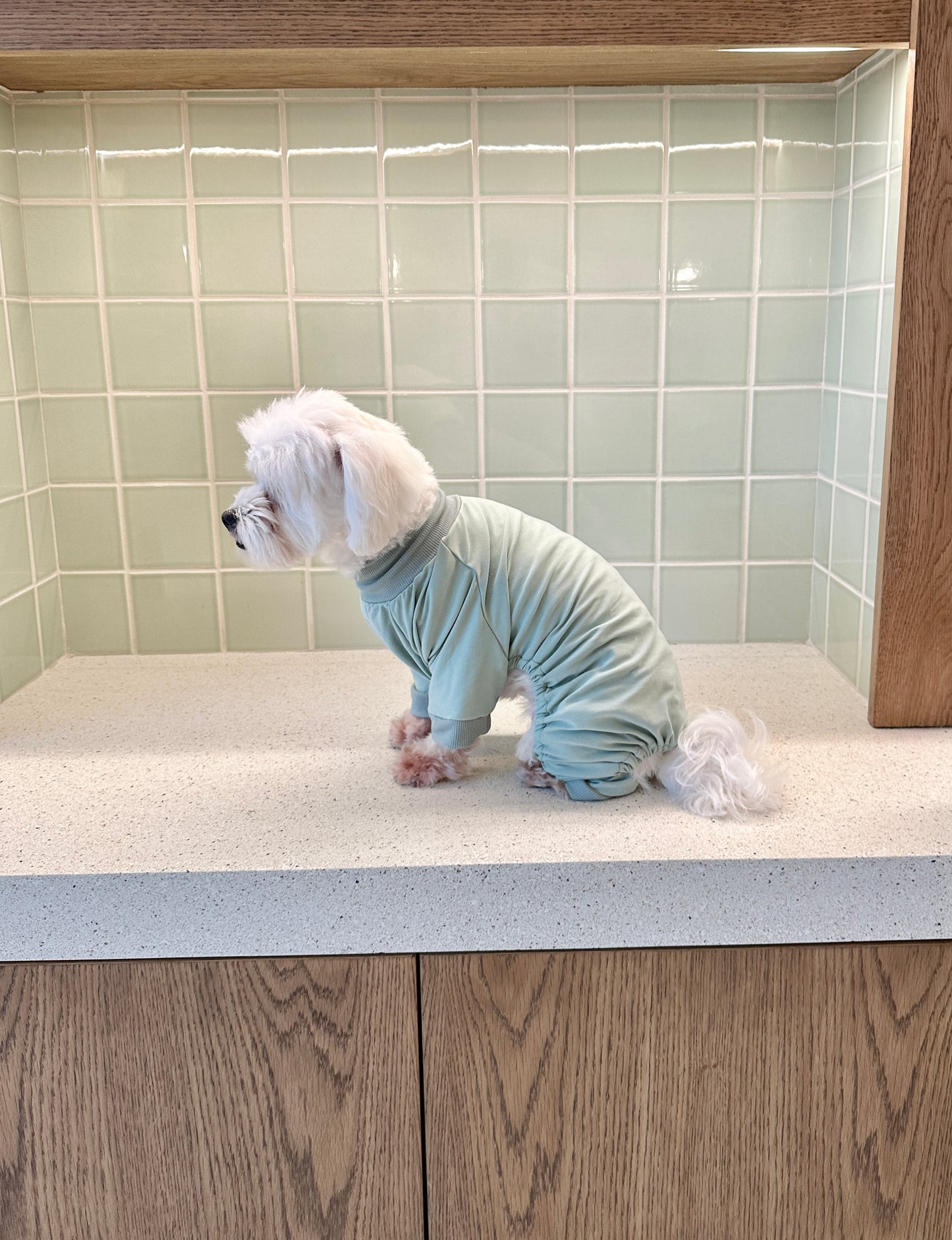 Pet Onesie - Sage Puff