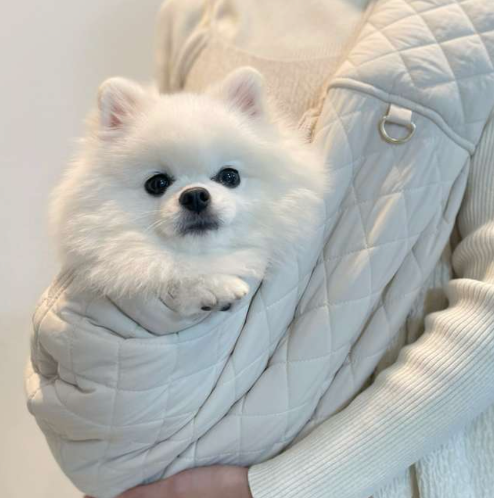 Small white dog wrapped in a light beige Sling carrier