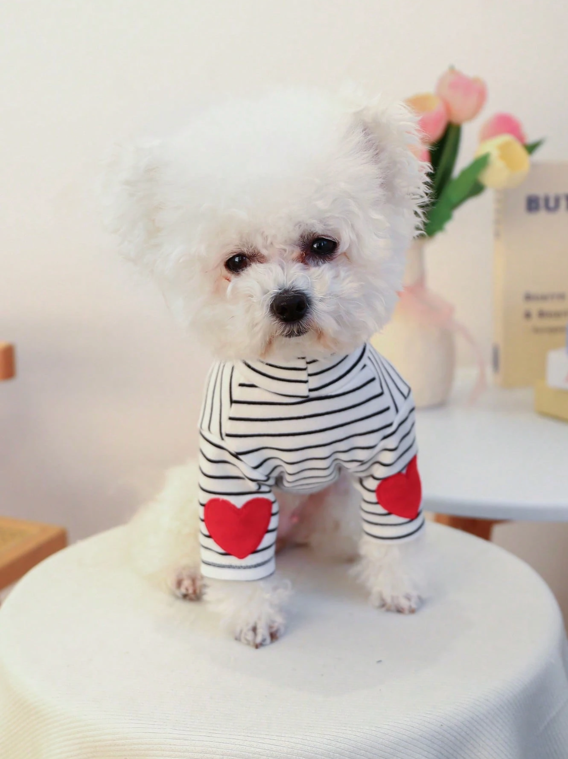 Heart Stripe Pet Shirt