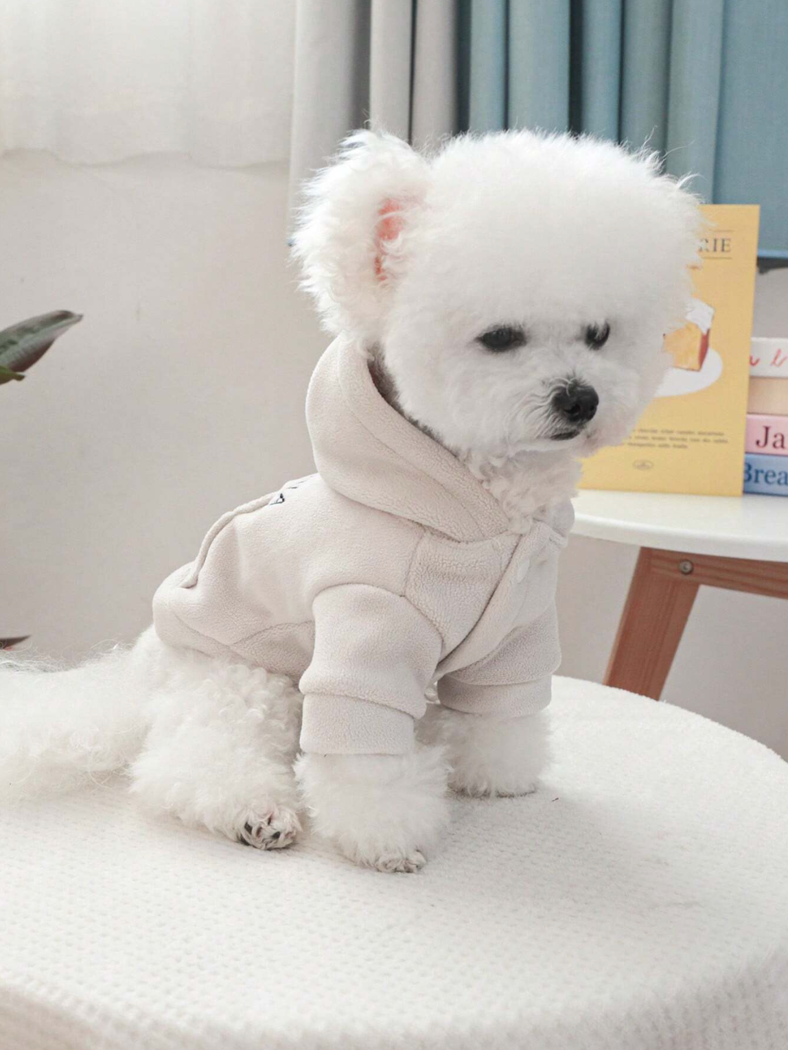 California Dream Pet Hoodie