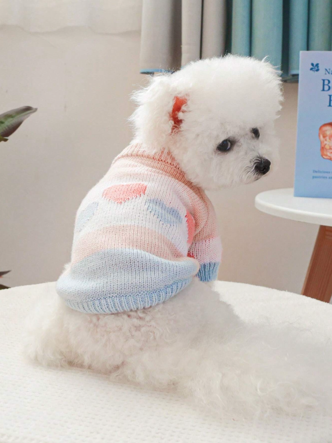 Sweet Love Pet Sweater