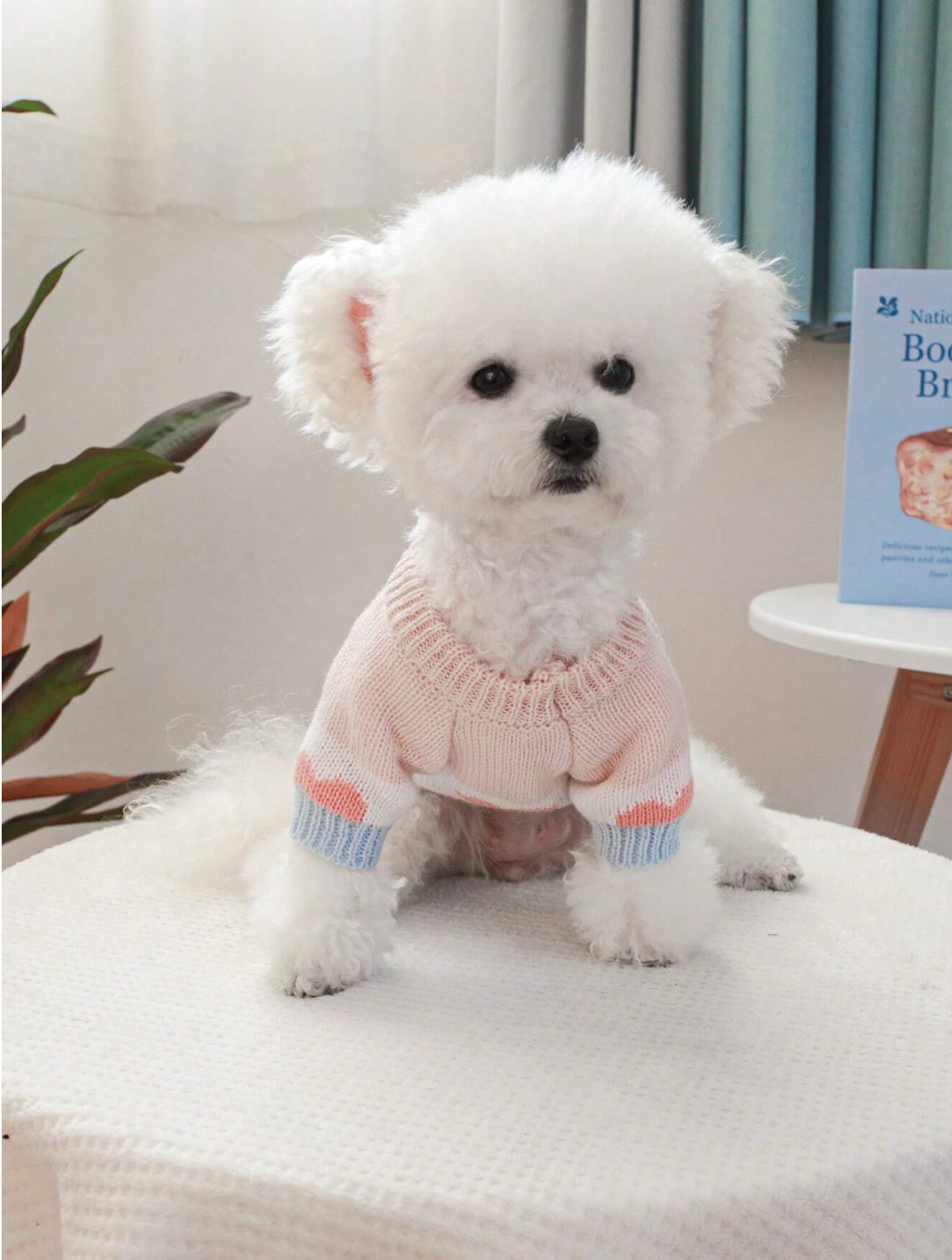 Sweet Love Pet Sweater
