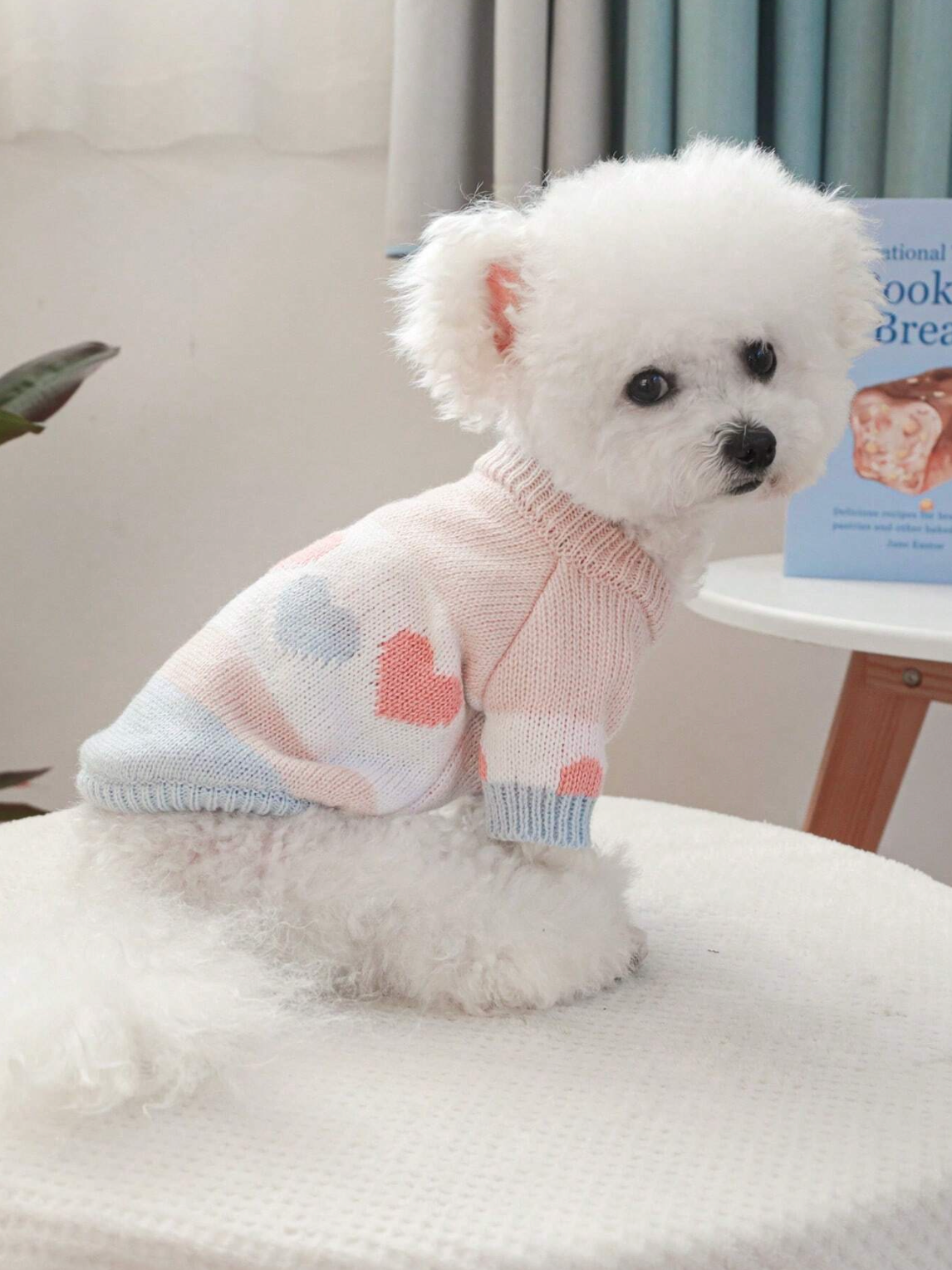 Sweet Love Pet Sweater