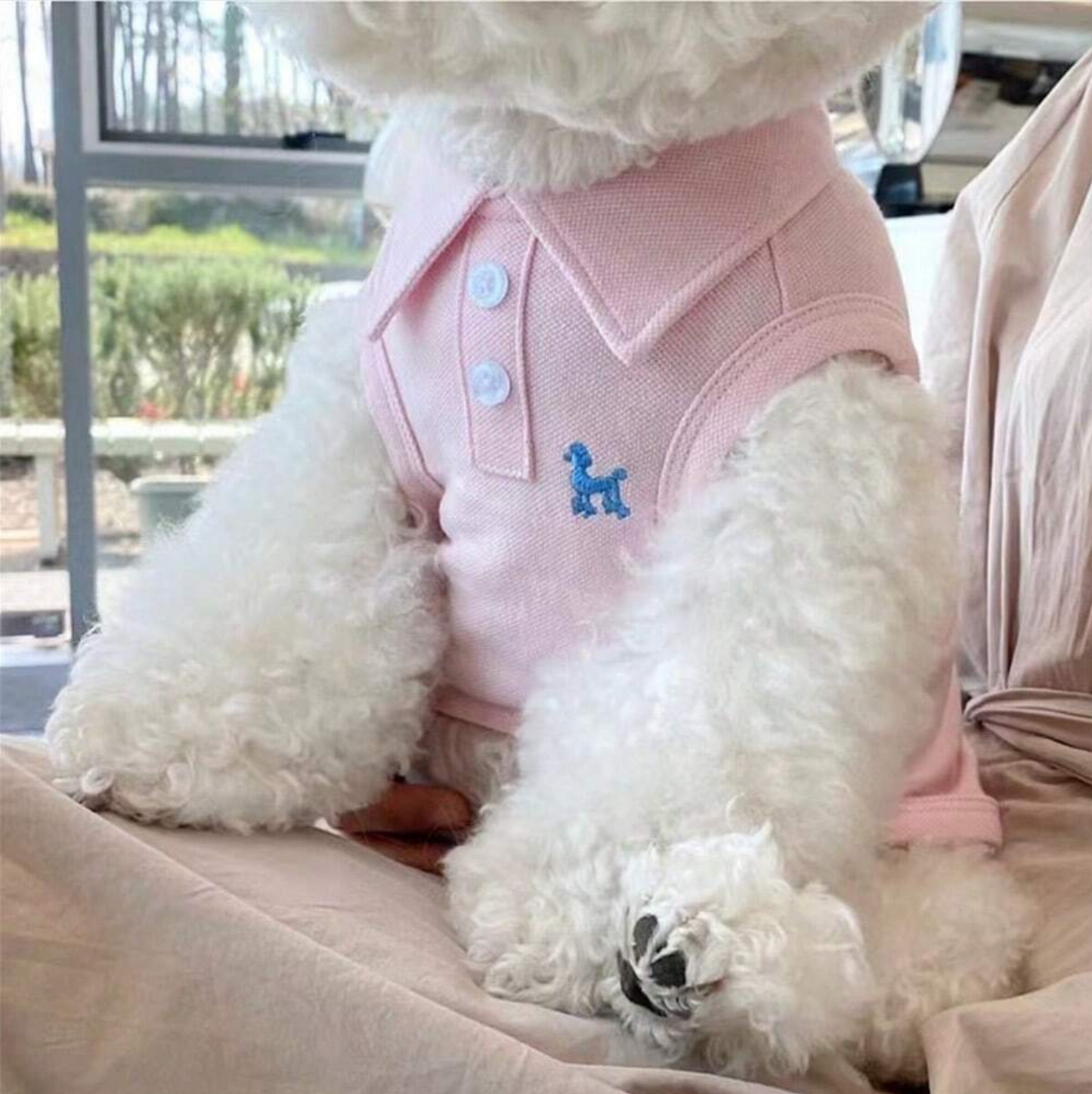 Polo Chou Pet Shirt