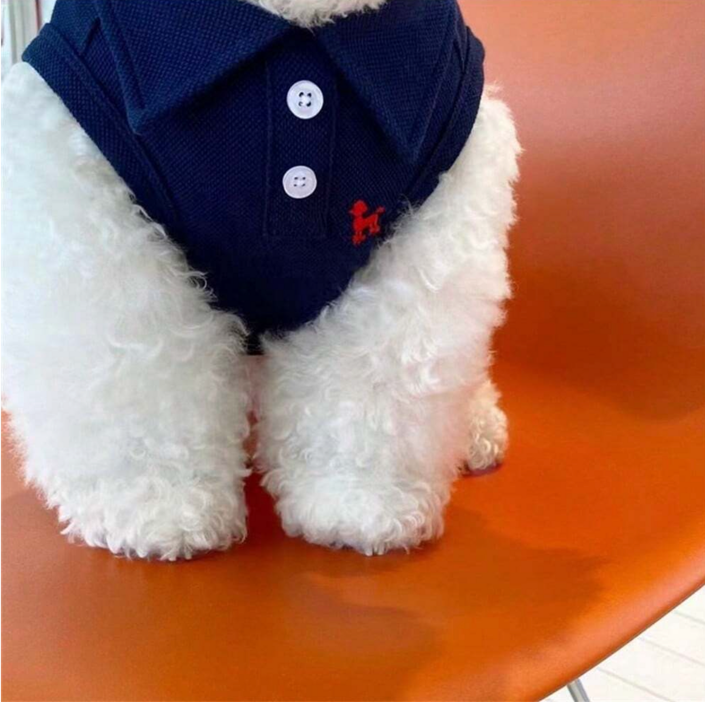 Polo Chou Pet Shirt