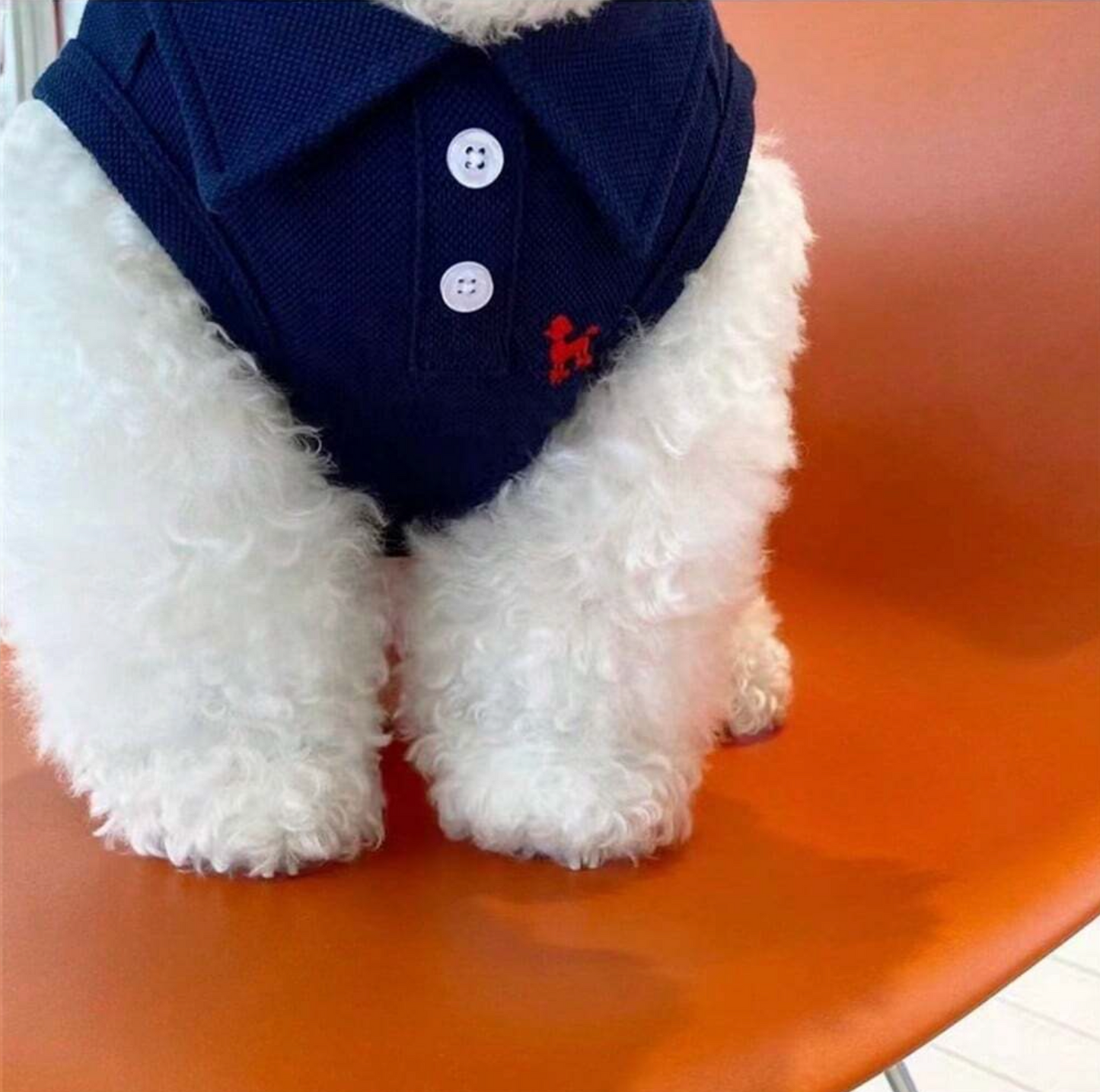 Polo Chou Pet Shirt