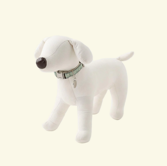 Reflective Collar + engraved Pet Name (Green)