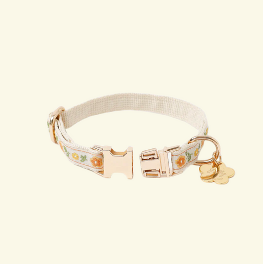 Flowers Collar + engraved Pet Name (Orange)