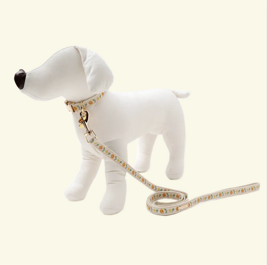 Flowers Embroidered Leash (Orange)