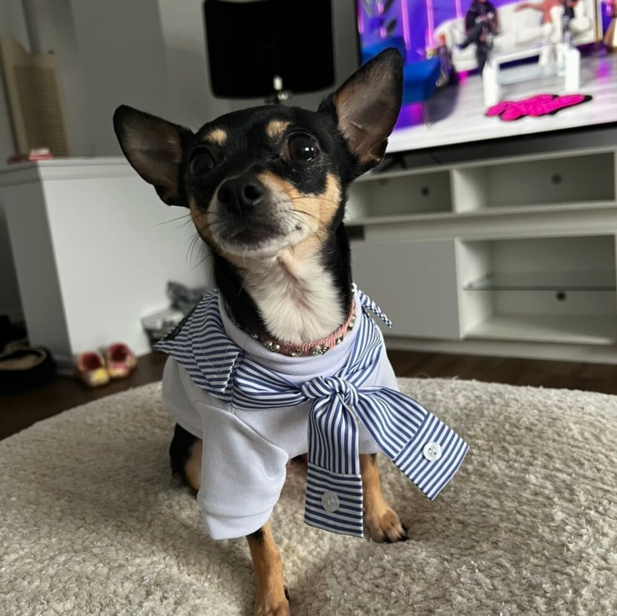 Bella