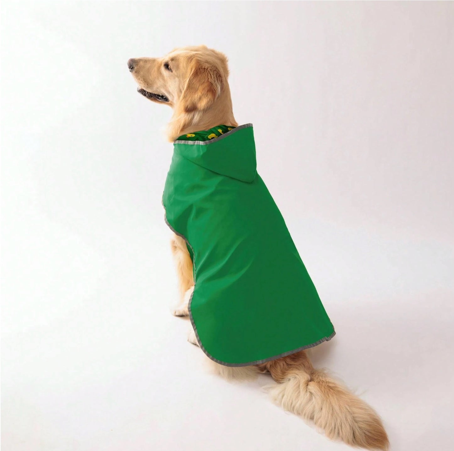 Dog wearing a green raincoat on a white background