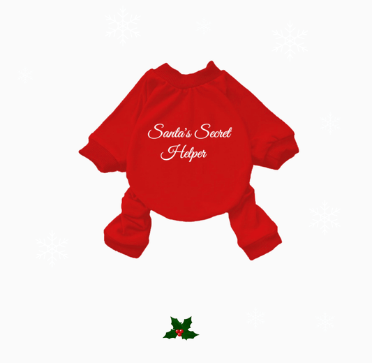 Christmas Onesie  - Santa’s Secret Helper