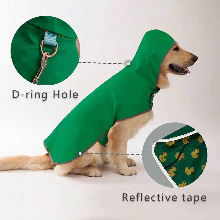 Dog wearing a green raincoat with D-ring hole and reflective tape details on a white background
