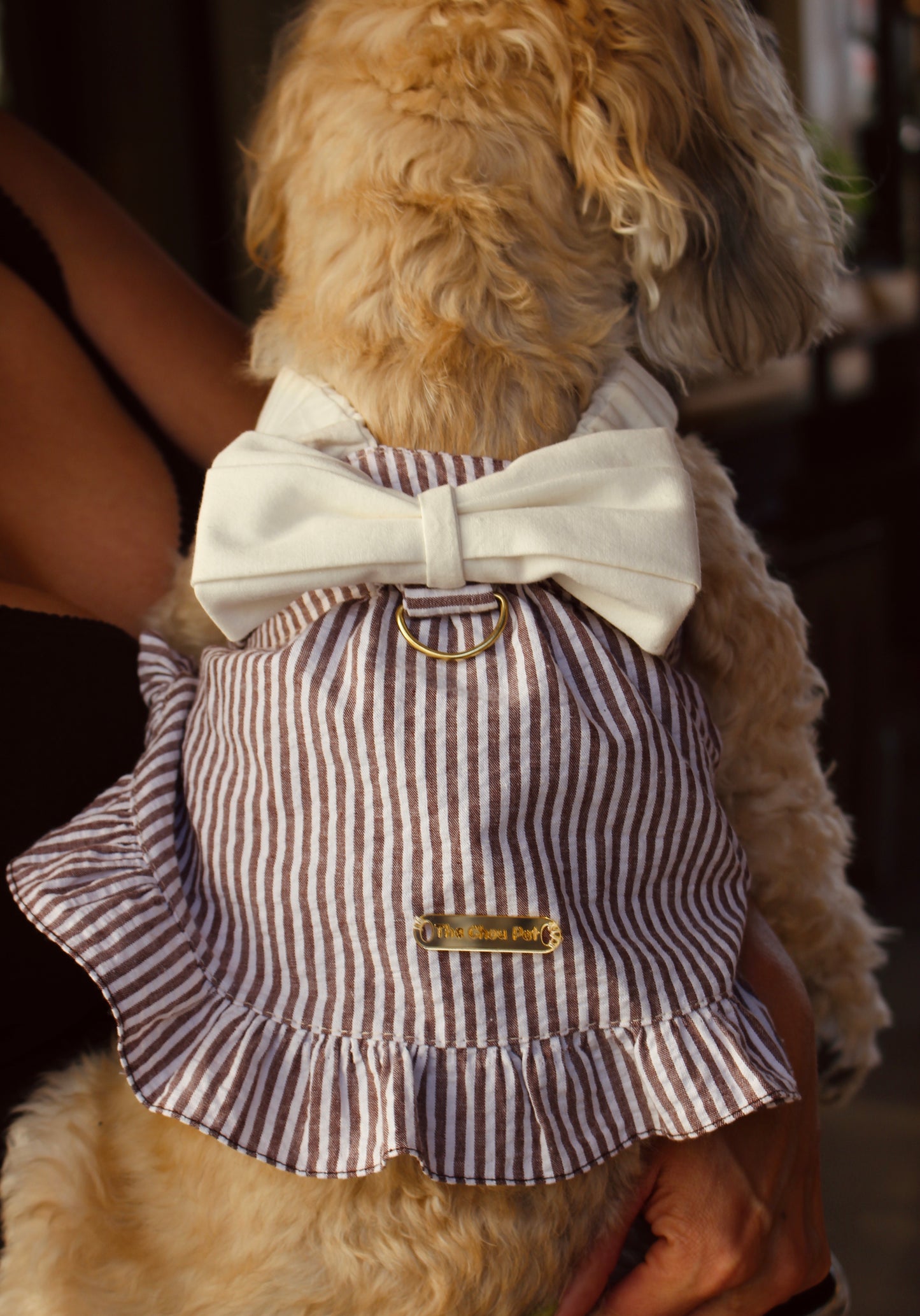 Cotton Striped Pet Dress With Bow - Brown